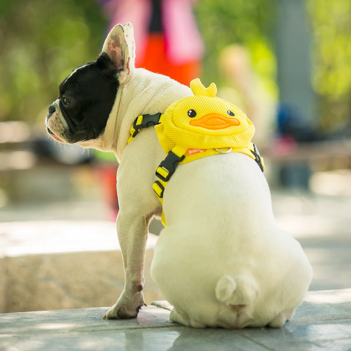 Animal Friendz Backpack Harness